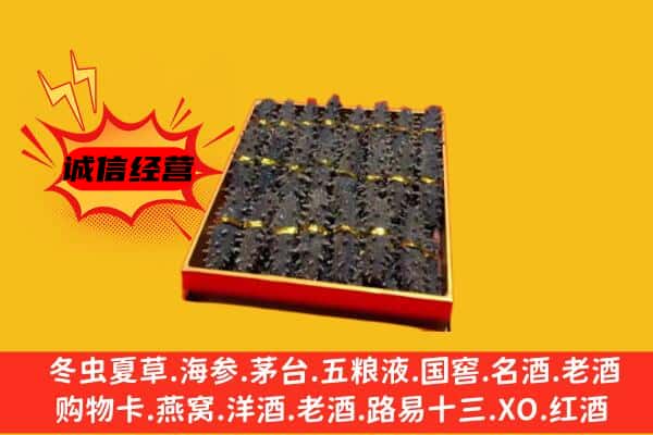 深圳深汕区回收海参